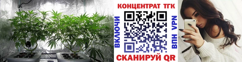 Купить где  Яхрома  Дистиллят ТГК концентрат 