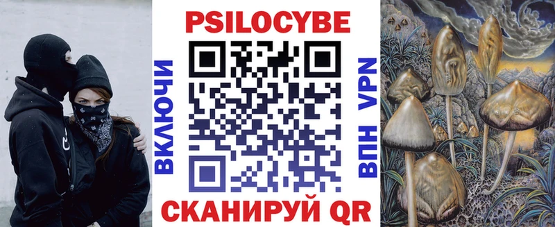 Купить закладки  Яхрома  Псилоцибиновые грибы мицелий 